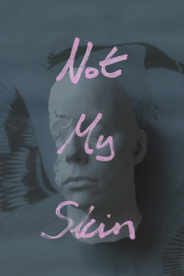 Not My Skin poster