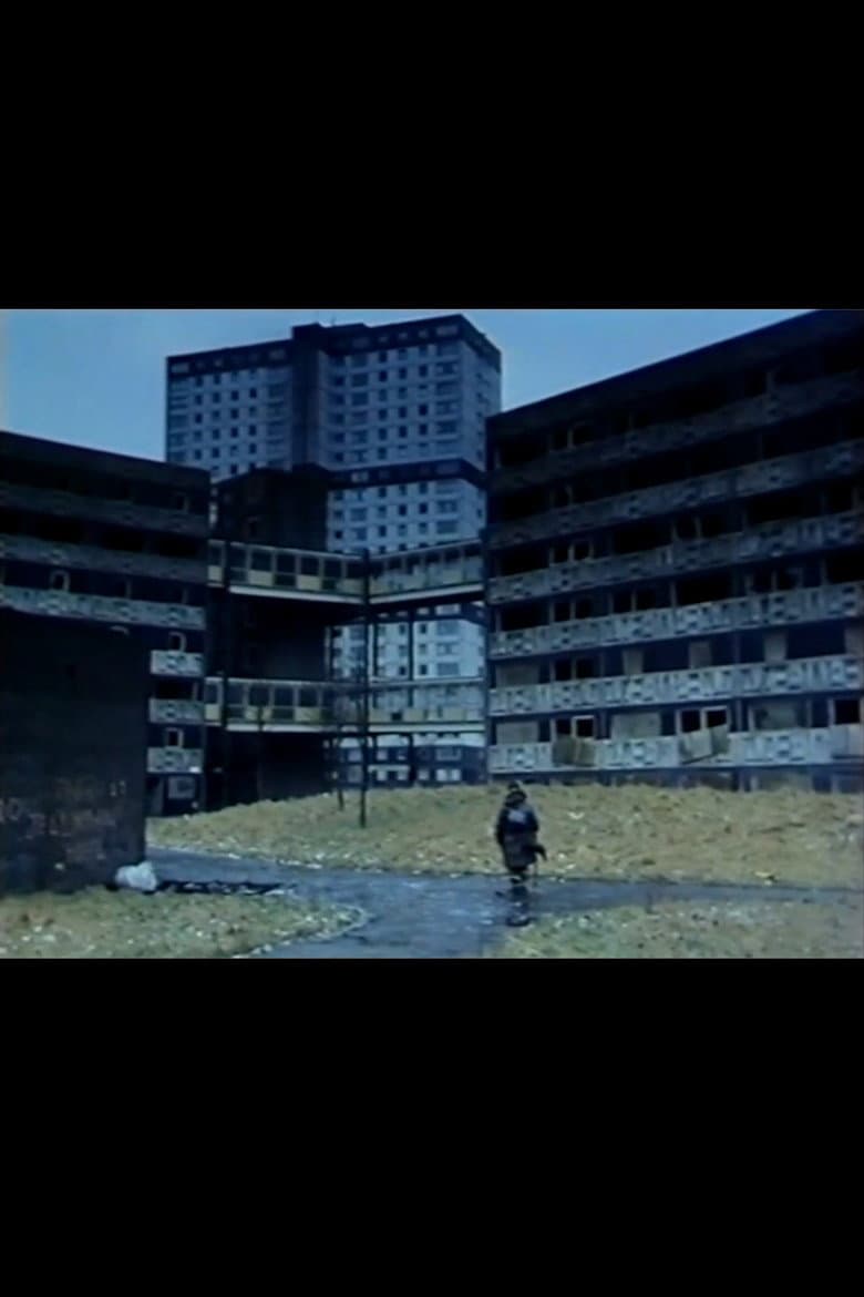 Happy the Man poster