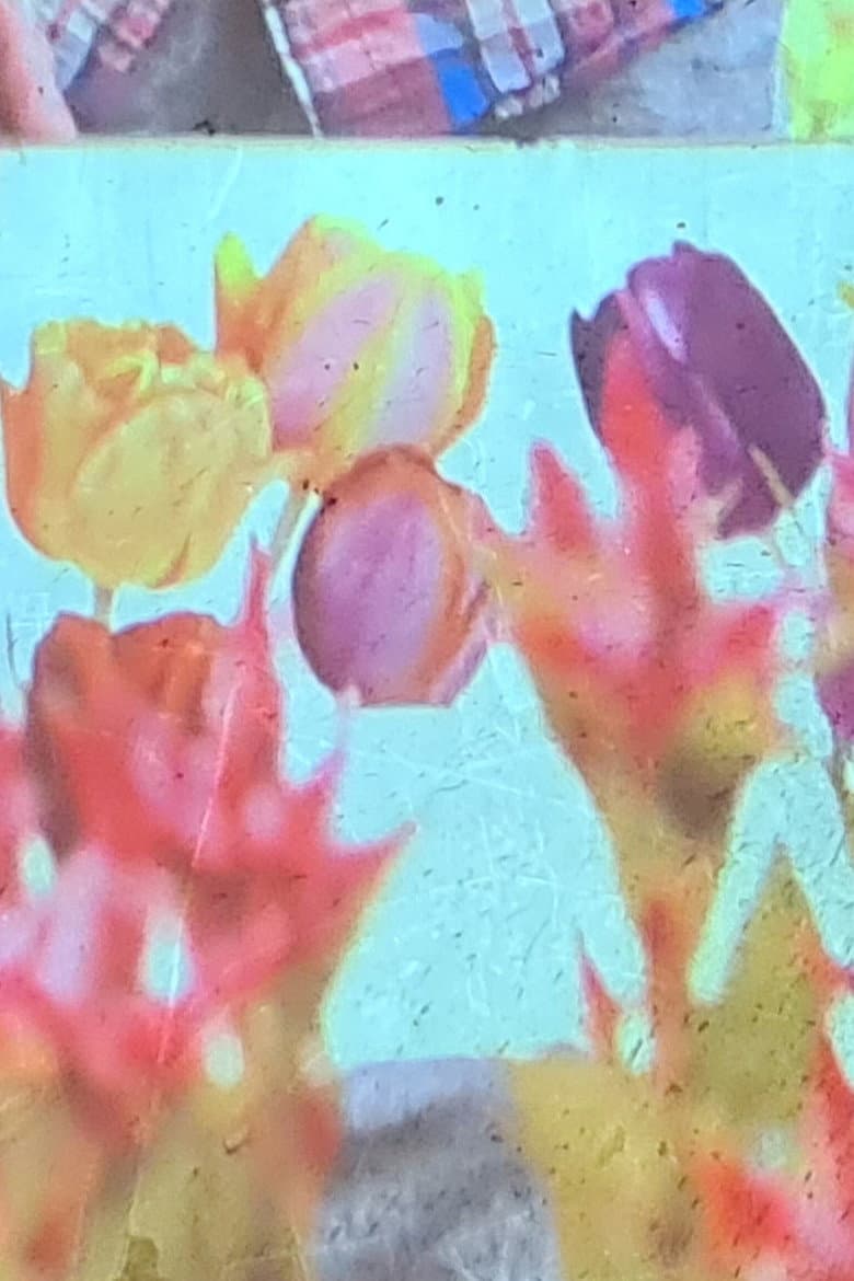 jolies fleurs une vie meilleure poster