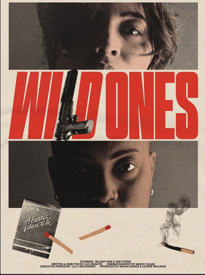 Wild Ones poster