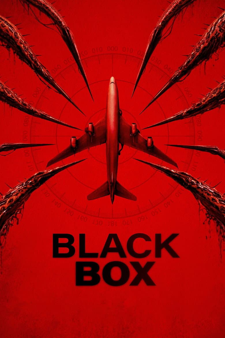 Black Box (Flight 298) poster