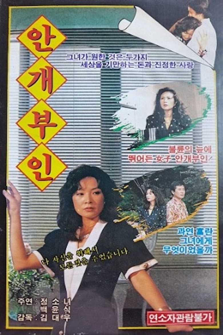 Misty Lady poster