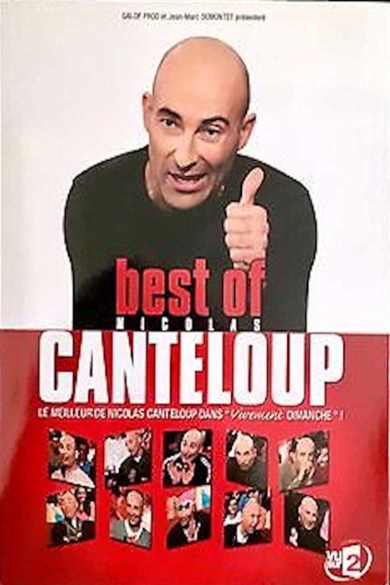 Best Of Nicolas Canteloup poster