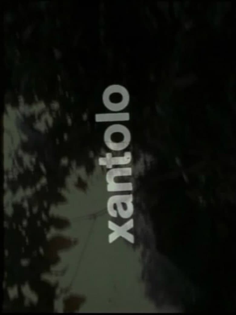 Xantolo, fiesta de la muerte poster