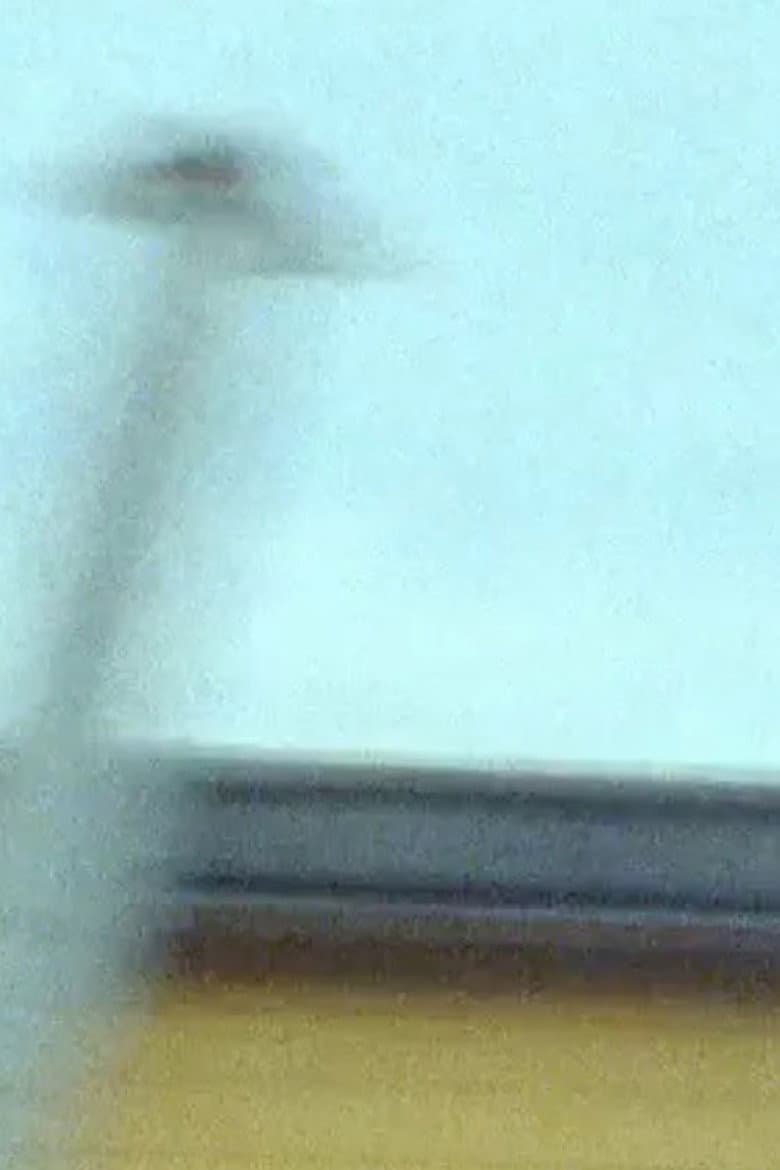 Wildflower Graffiti Action Light Painting poster