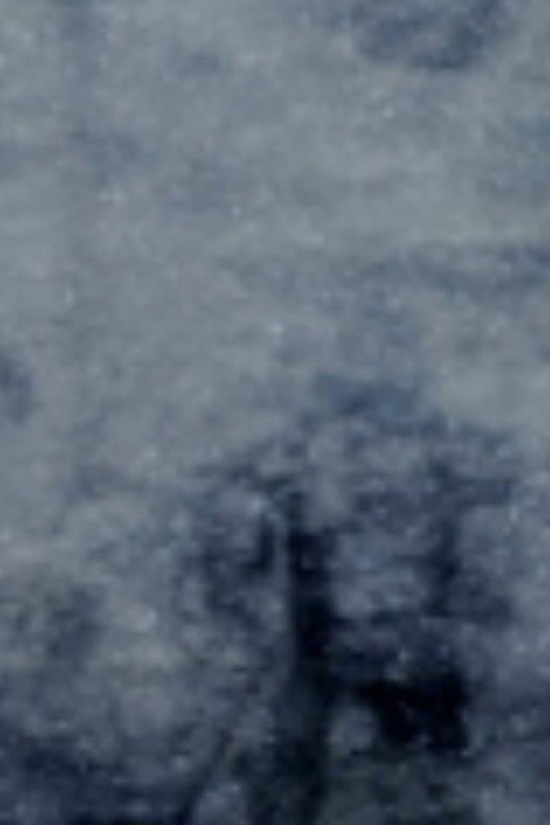 Hokusotan 2015 (Action Direct) poster