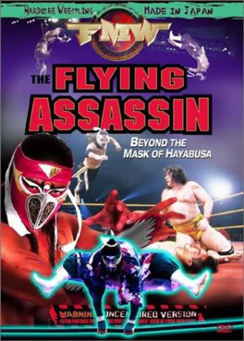 FMW Hayabusa- Flying Assassin poster