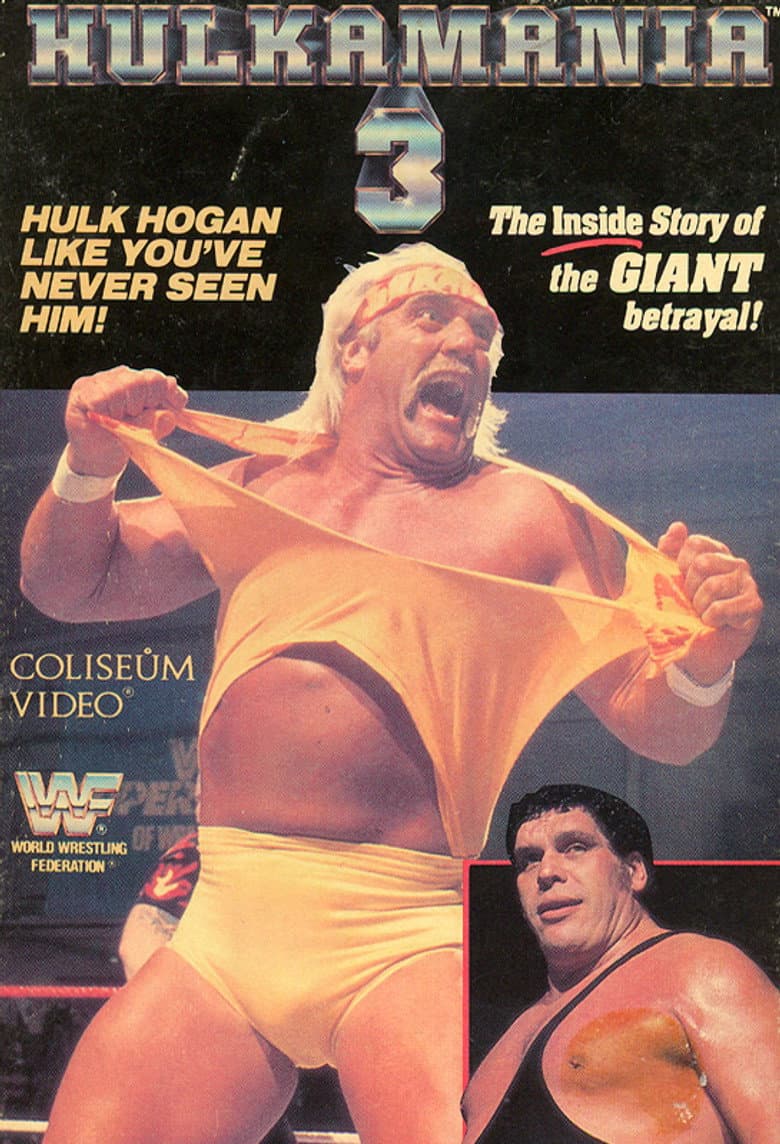 Hulkamania 3 poster