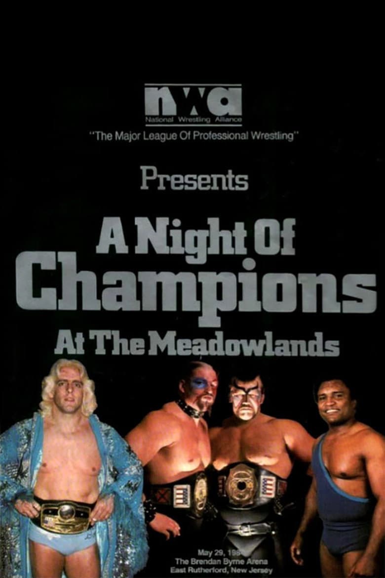 NWA Night of Champions poster