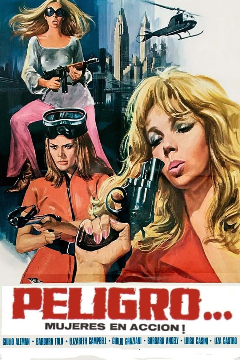 Danger...! Women in Action poster