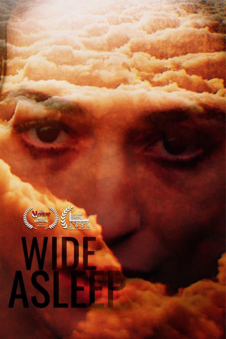 Wide Asleep poster