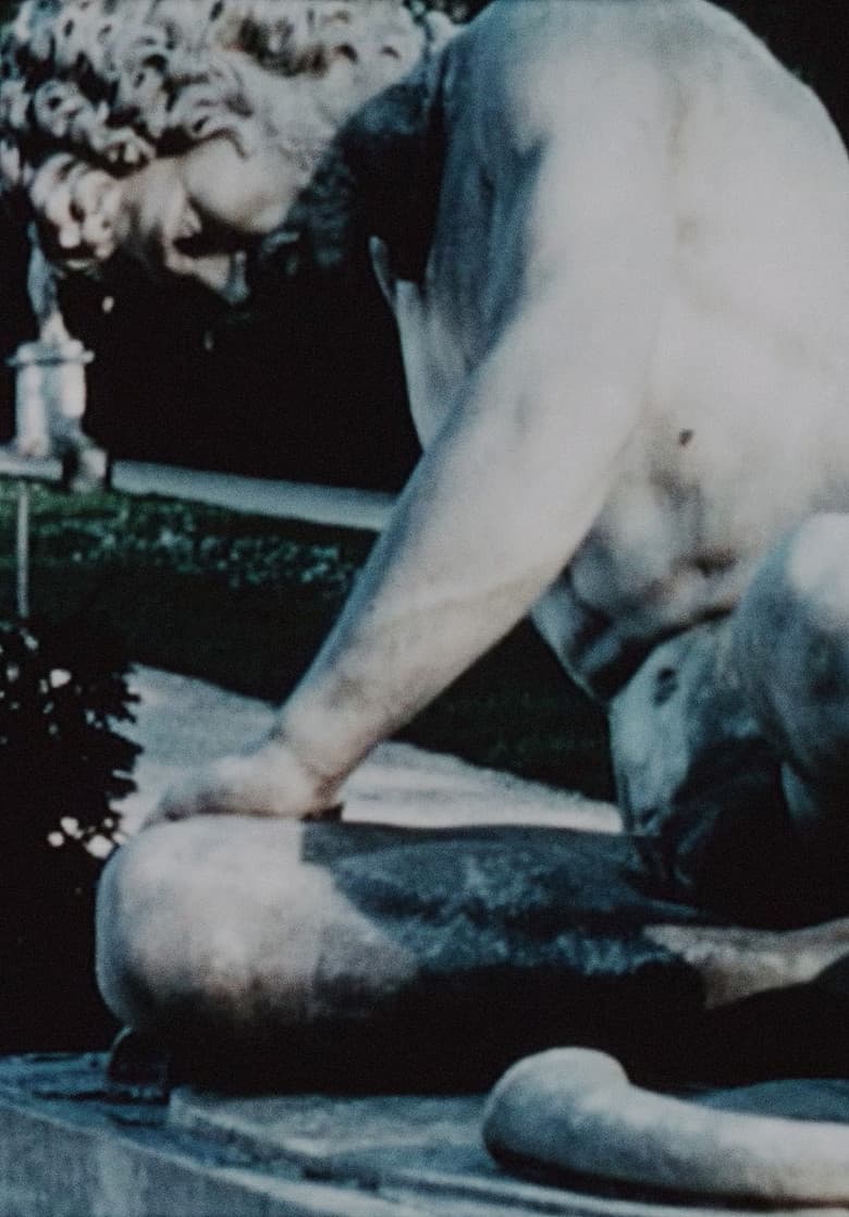 Bagatelle for Willard Maas poster