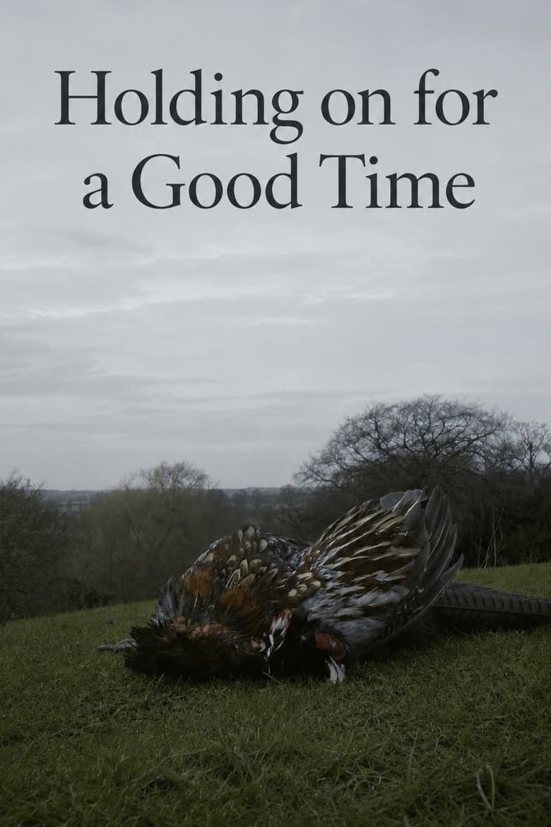 Holding on for a Good Time poster