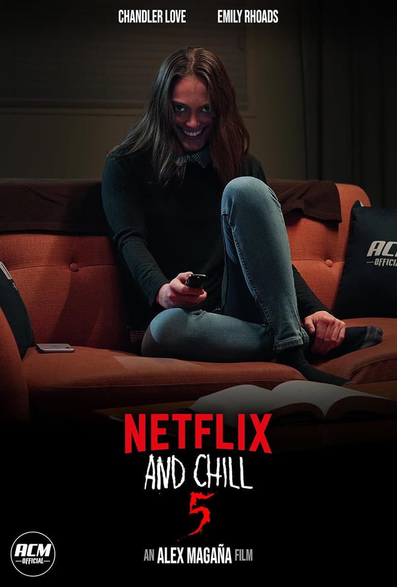 Netflix and Chill 5 poster