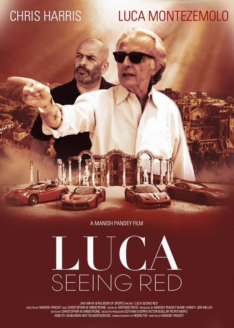 Luca: Seeing Red poster