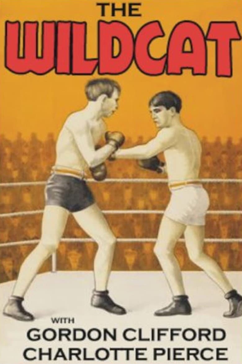 The Wildcat poster
