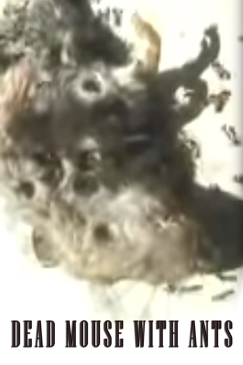 Dead Mouse with Ants poster