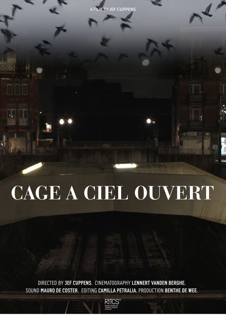 Cage À Ciel Ouvert poster