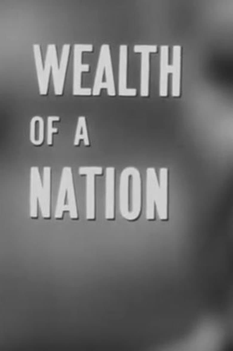 Wealth of a Nation poster