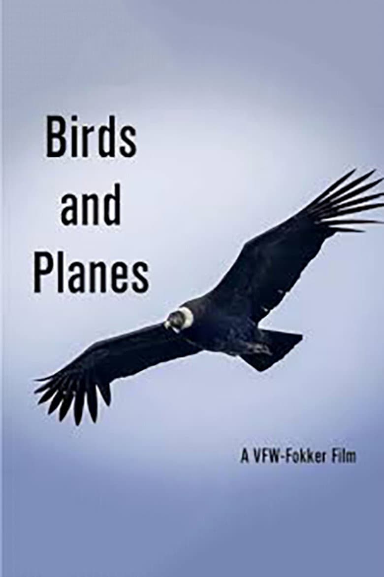 Birds and Planes poster