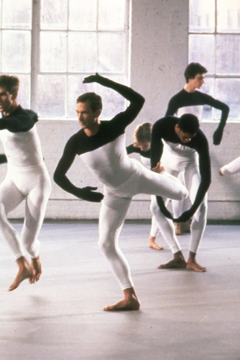 Beach Birds for Camera poster