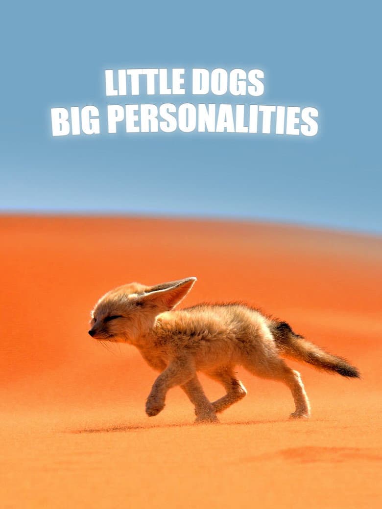 Little Dogs, Big Personalities poster