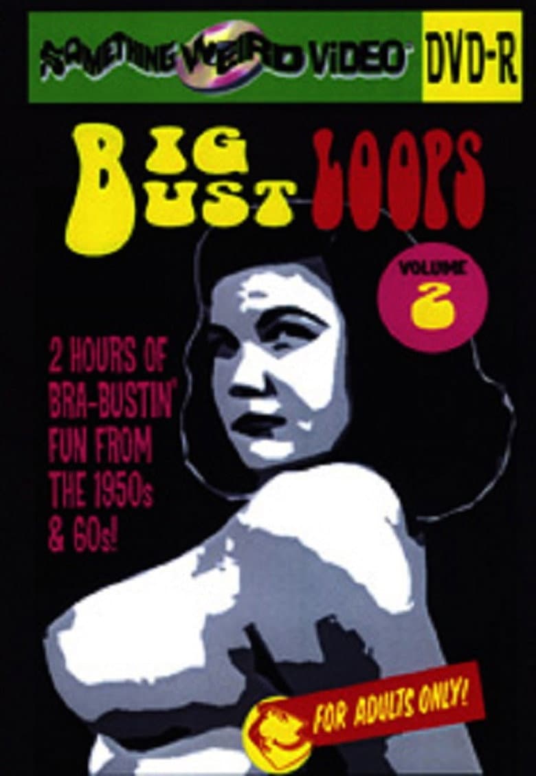 Big Bust Loops Volume 2 poster