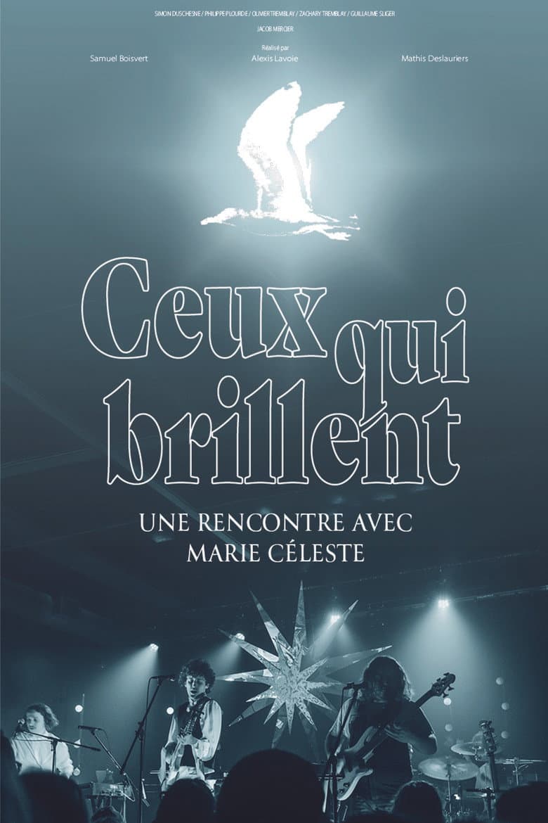 Ceux qui brillent poster