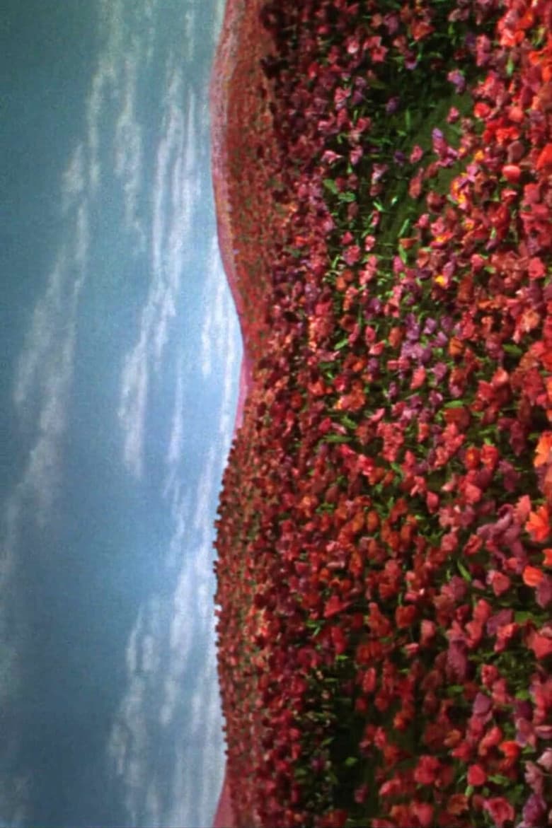 Insomnio doméstico poster