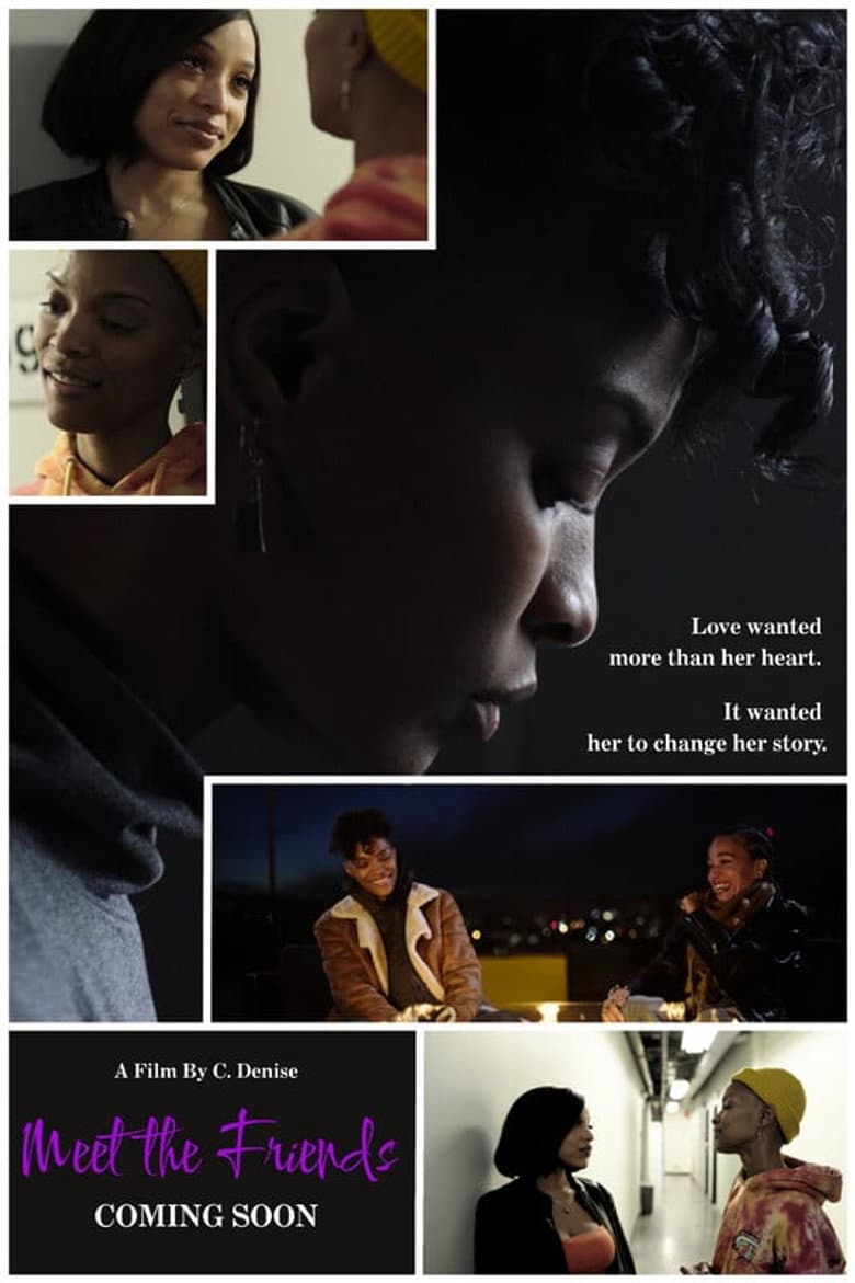 Meet The Friends poster