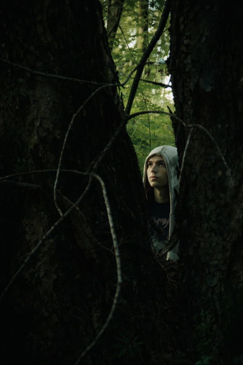 Comme des mouches poster