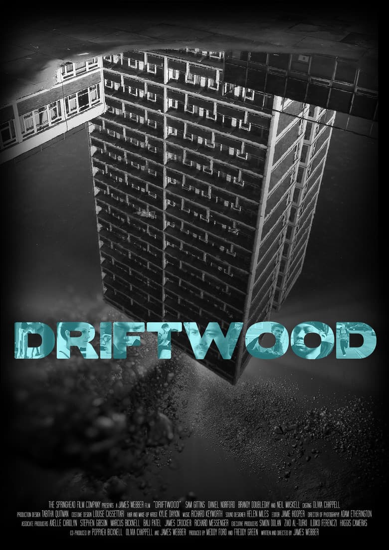 Driftwood poster