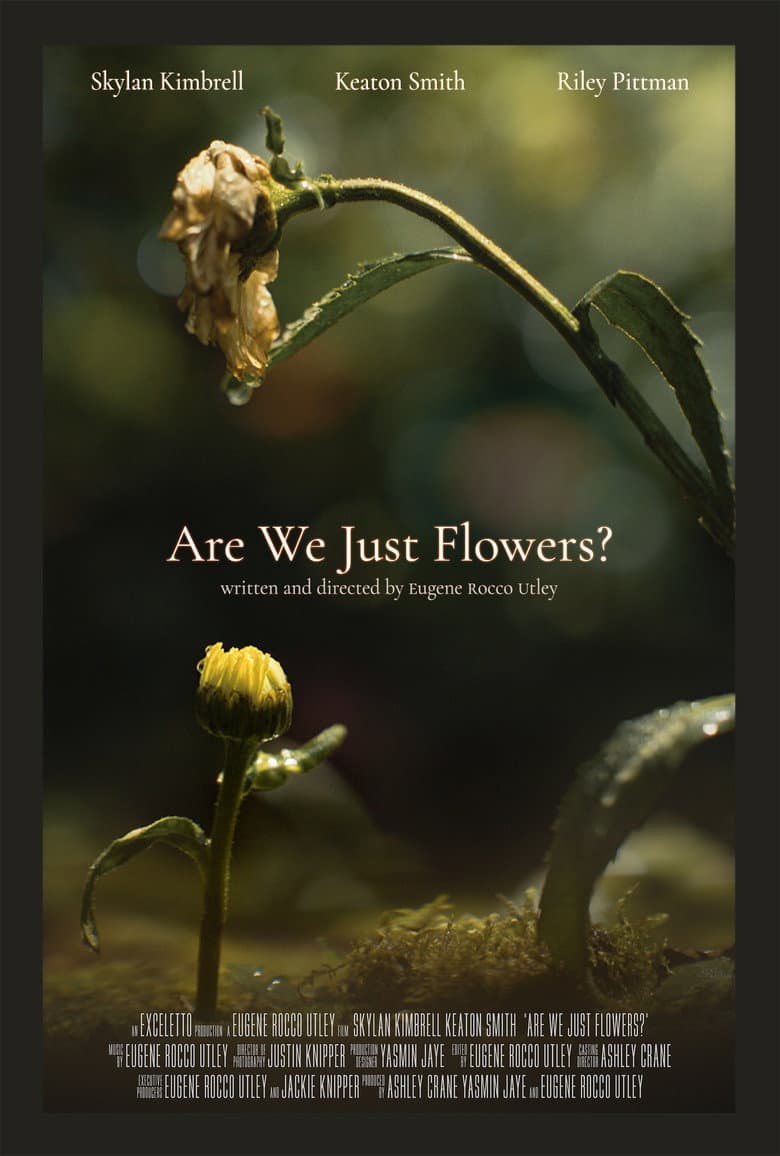Are We Just Flowers? poster