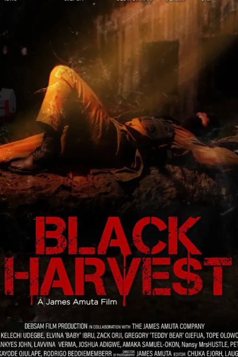 Black Harvest poster