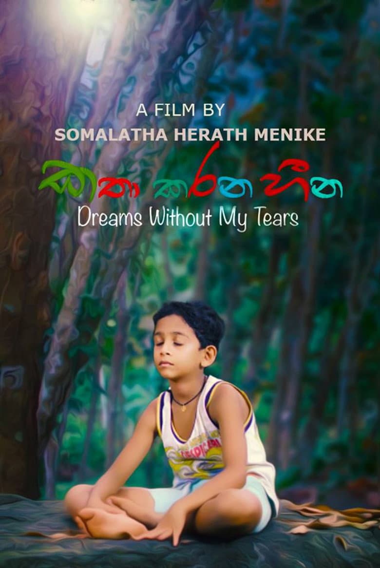 Dreams Without My Tears poster