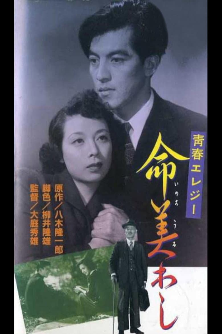 Beauty of Life poster