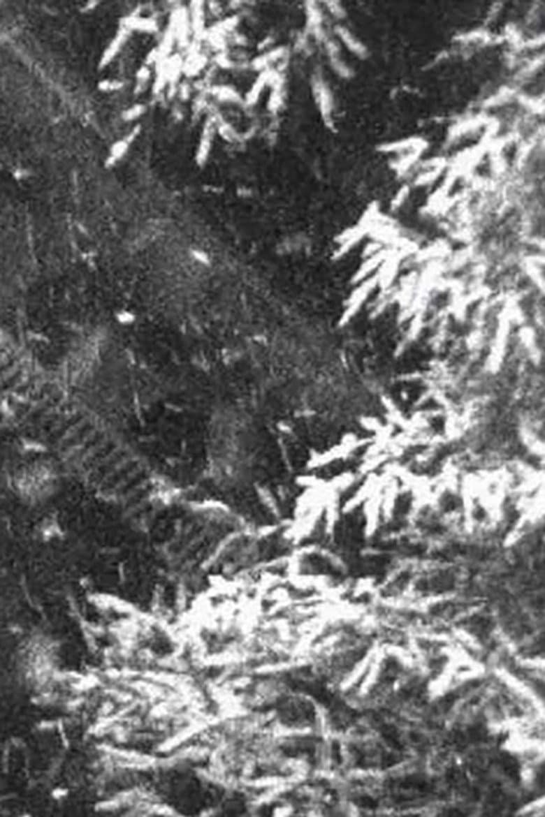Schneefall poster