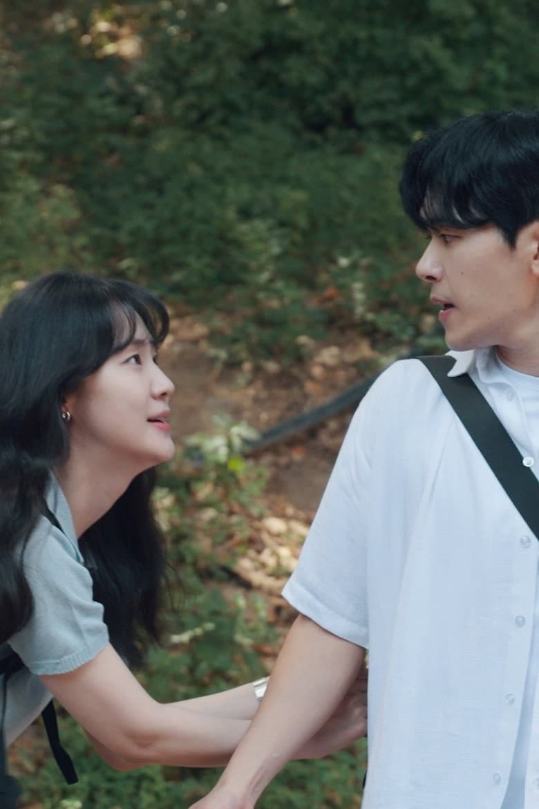 Days in Colors poster