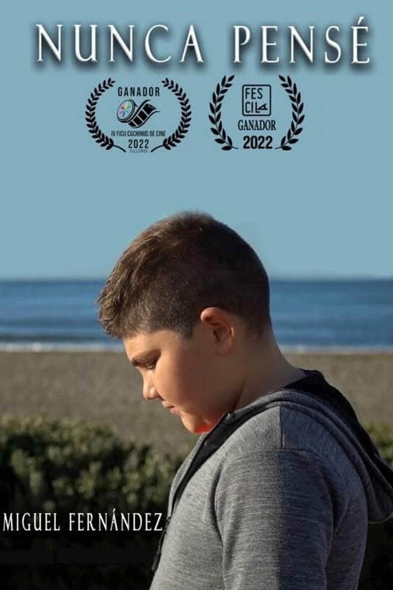 I Never Thought poster