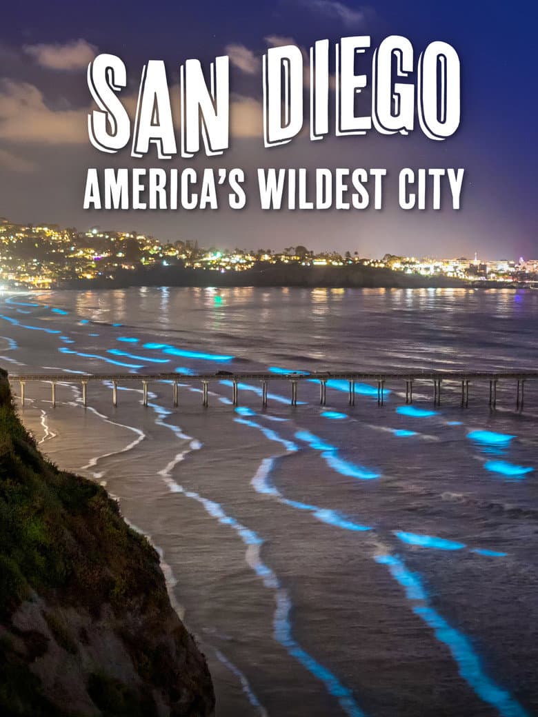 San Diego: America's Wildest City poster