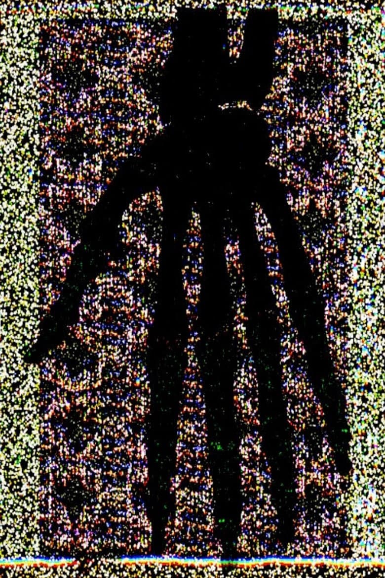 Falange, falangina y falangeta poster