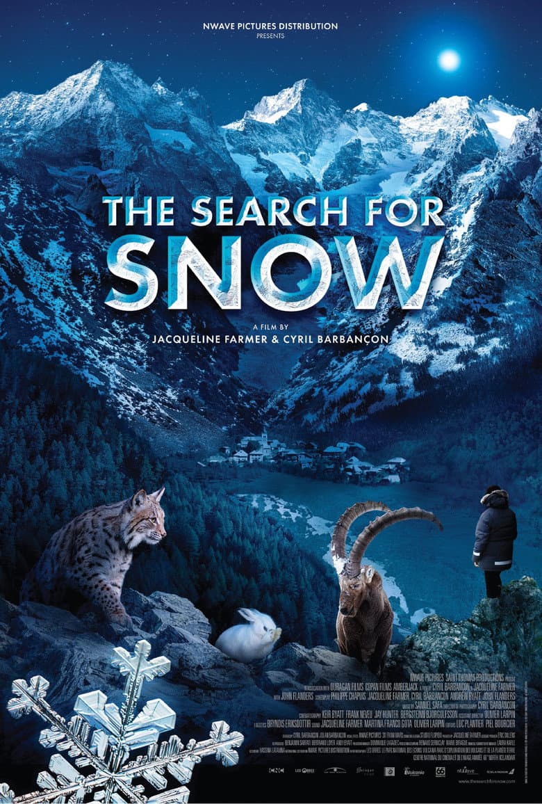 The Search for Snow poster