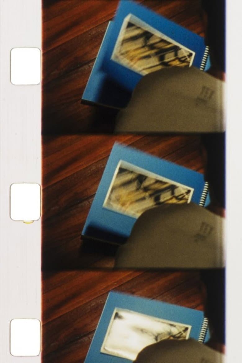 Reel in Colour #11 poster