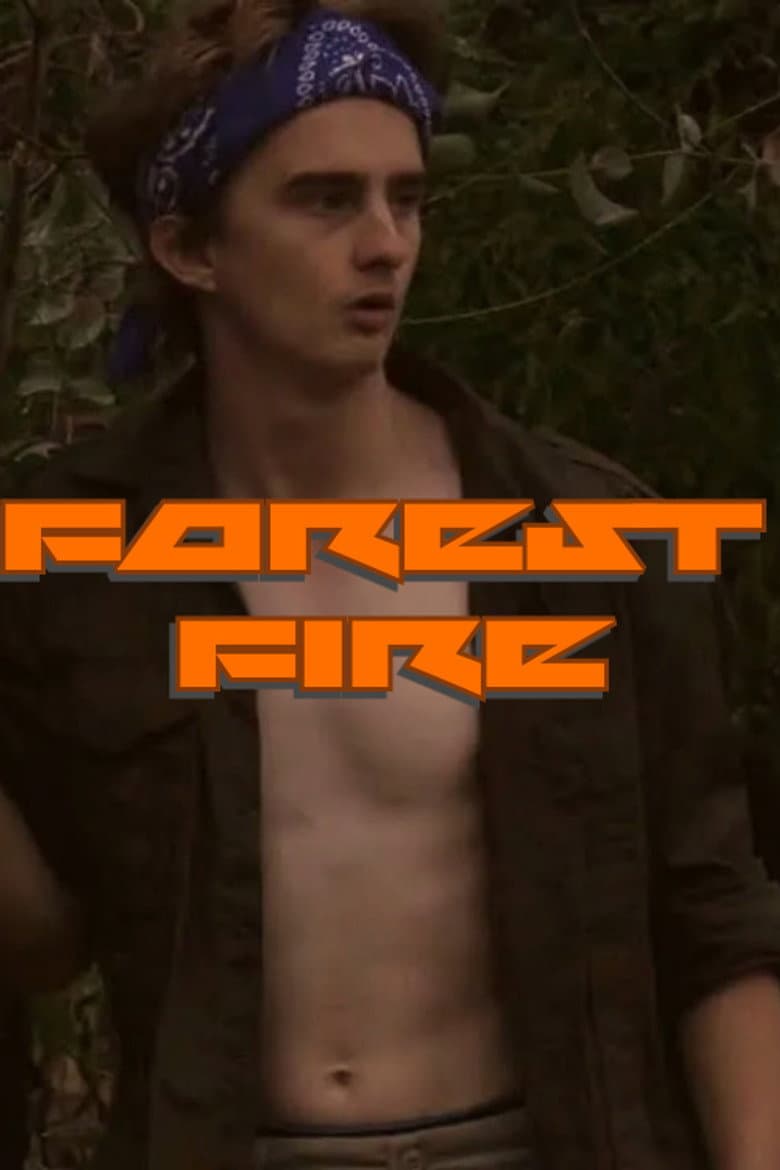 Forest Fire poster