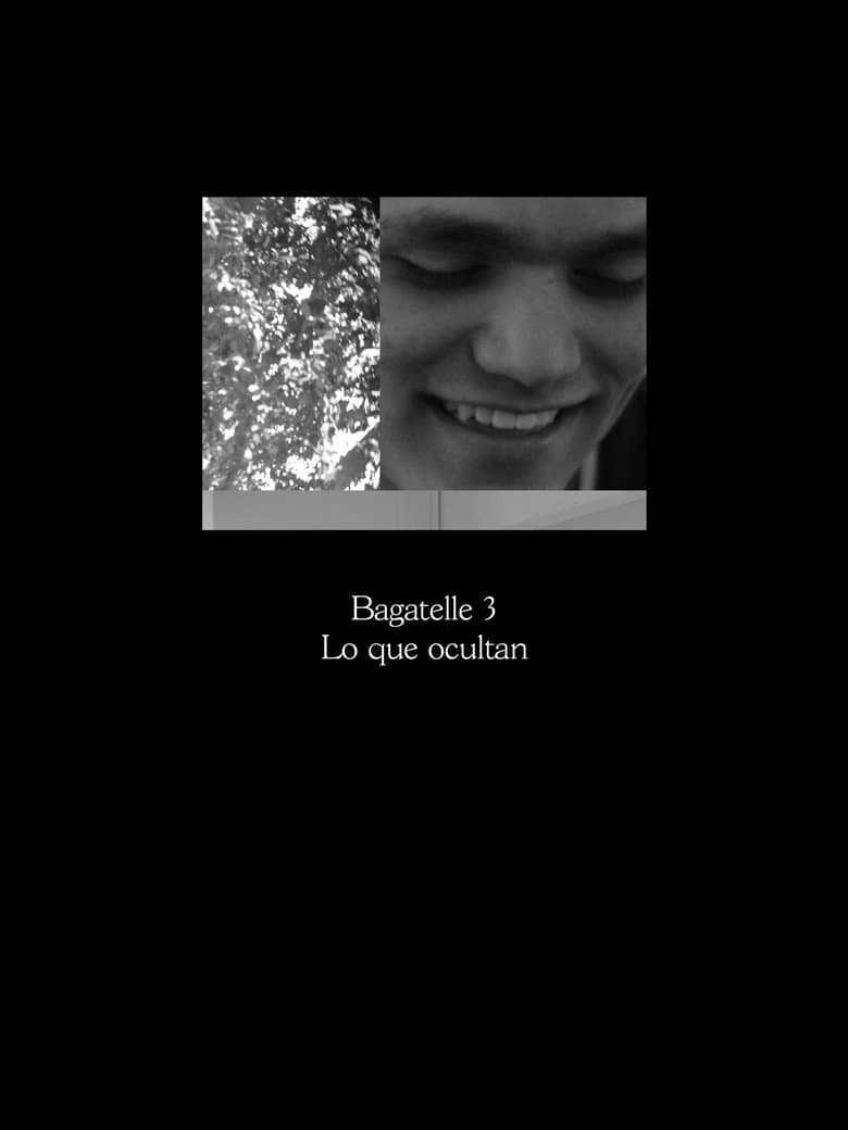 Bagatelle 3: Lo que ocultan poster