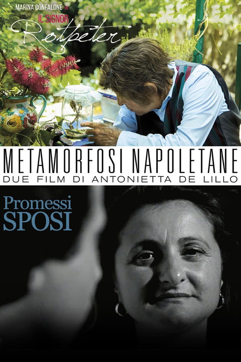 Metamorfosi Napoletane poster