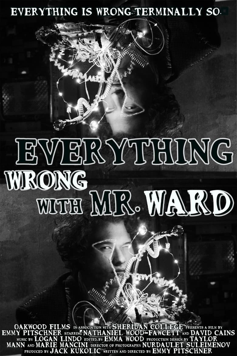 Everything Wrong with Mr. Ward poster