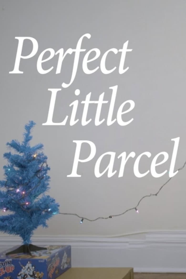 Perfect Little Parcel poster
