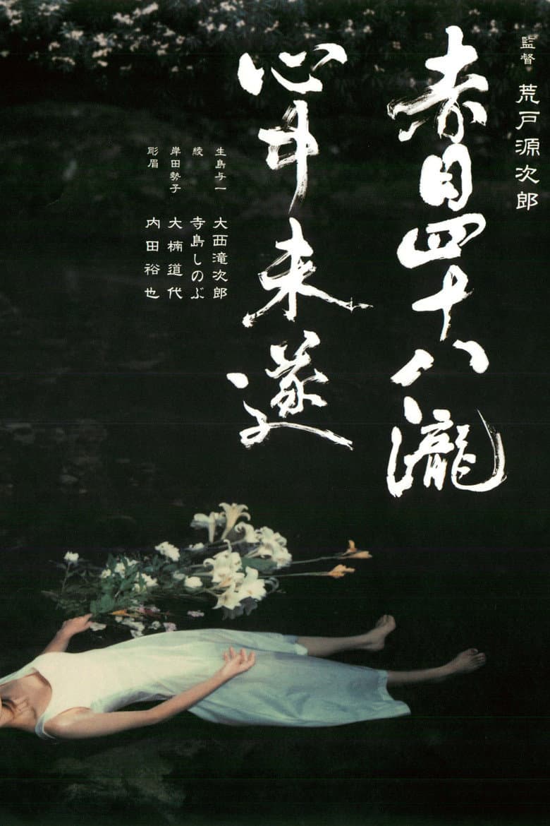 Akame 48 Waterfalls poster