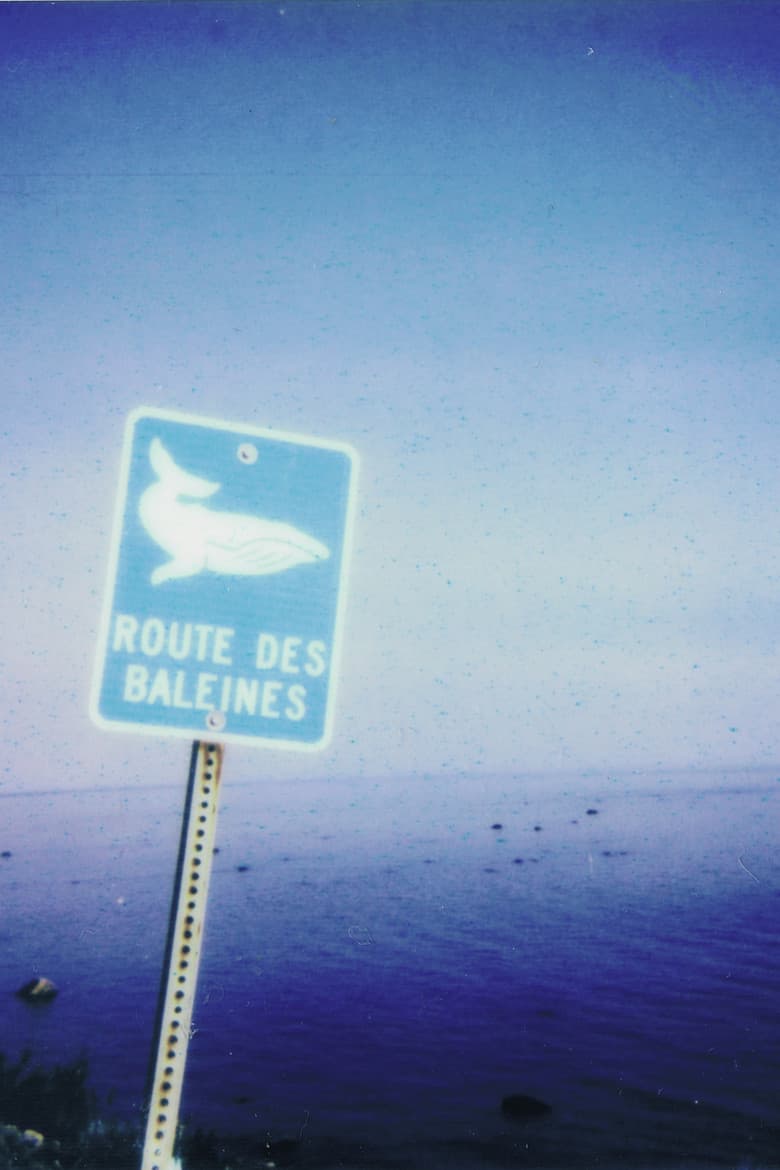 La route des baleines poster